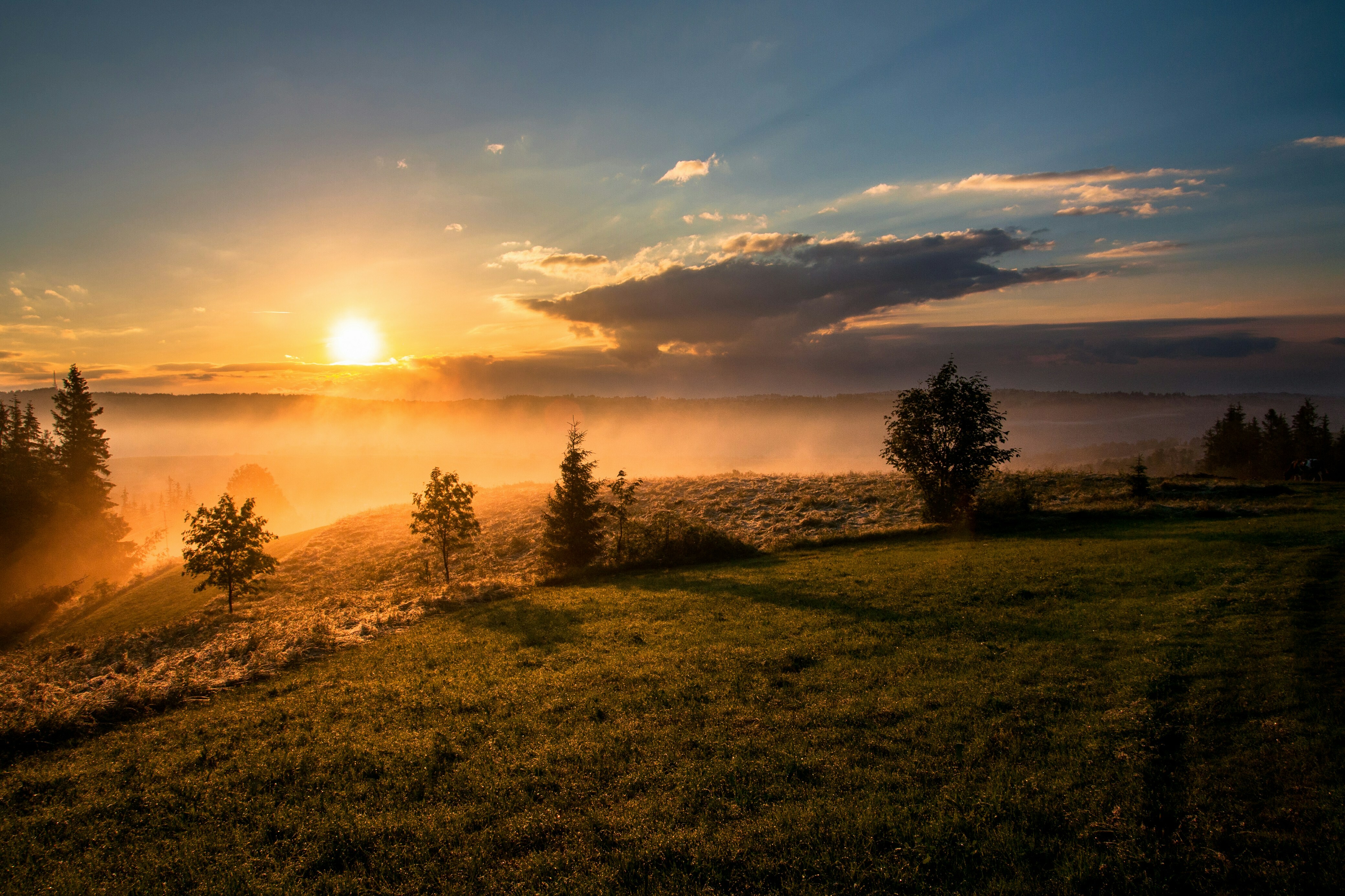 Sunrise over a misty landscape with trees and rolling hills.
