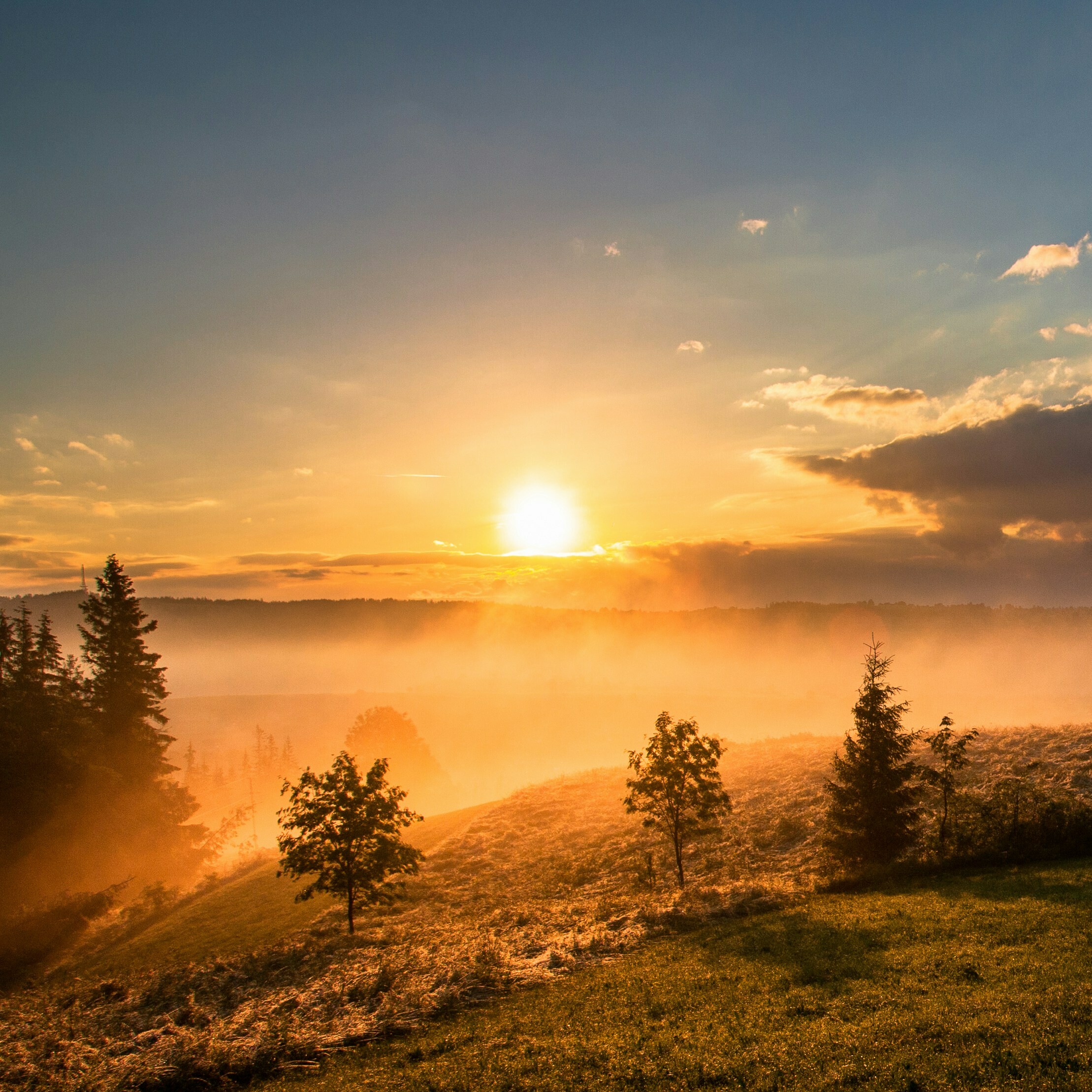Sunrise over a misty landscape with trees and rolling hills.