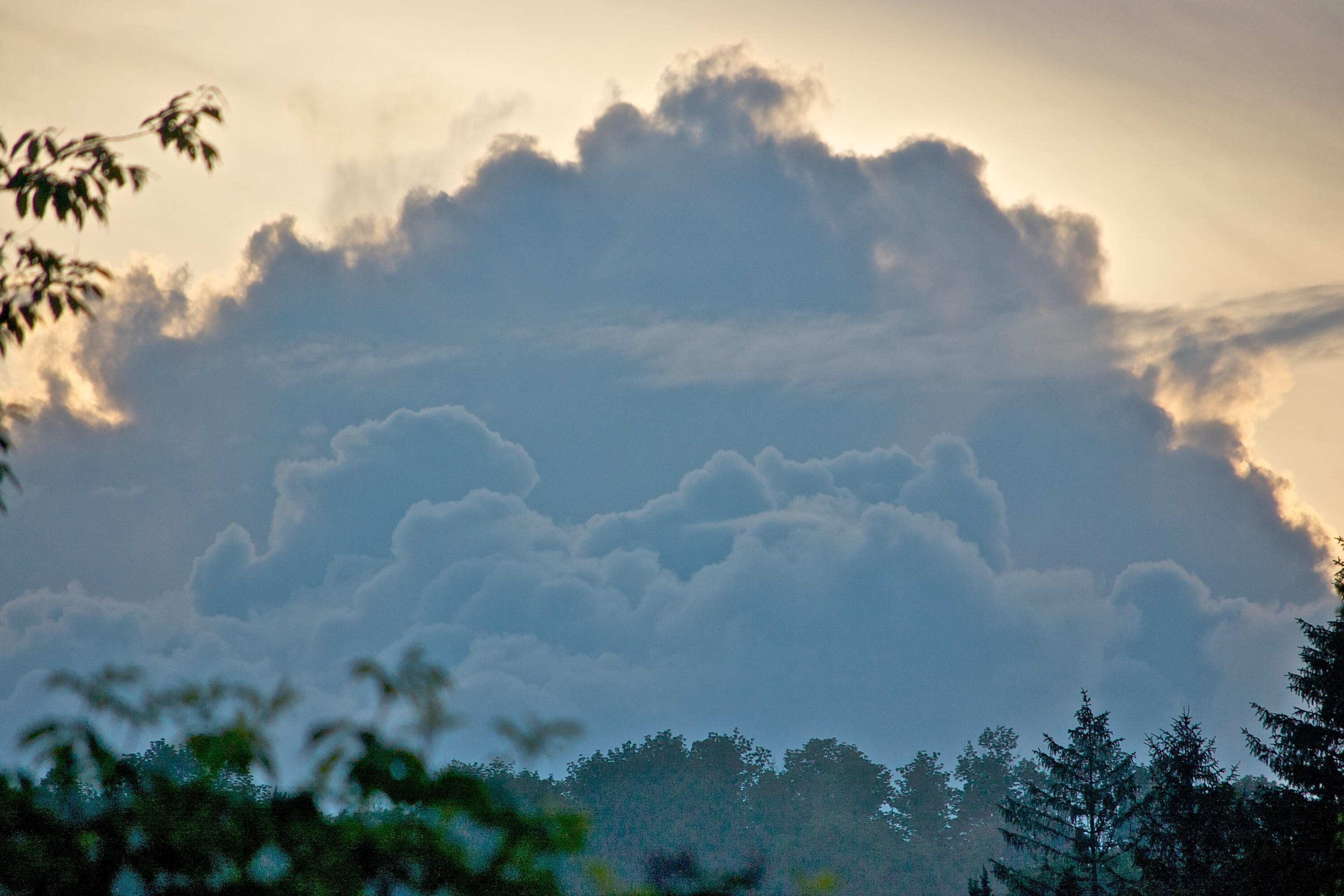 Fluffy clouds silhouetted against a fading sunset sky and treetops below.