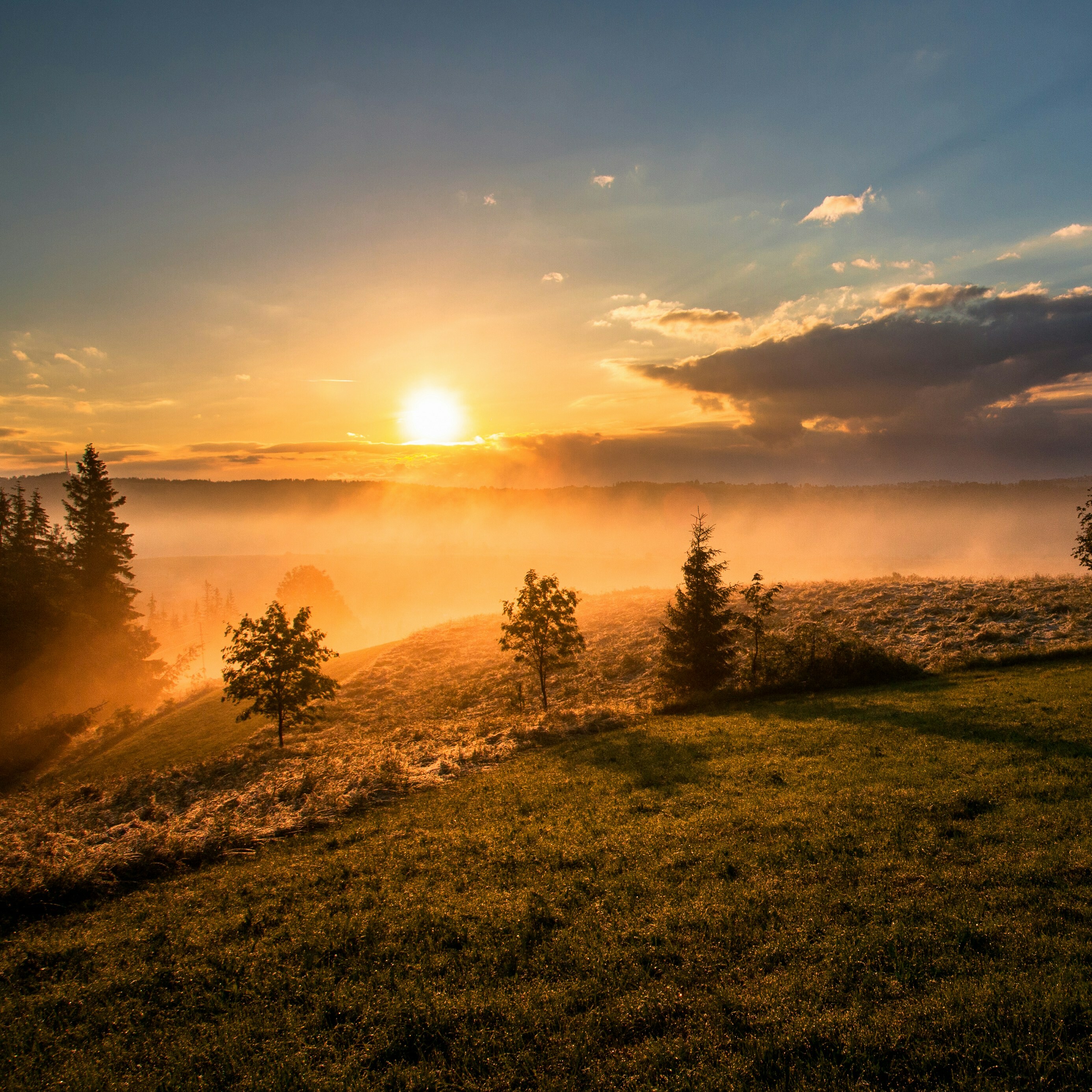 Sunrise over misty hills, with silhouetted trees against a colorful sky.